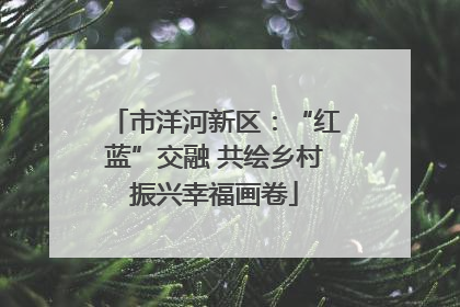 市洋河新区：“红蓝”交融 共绘乡村振兴幸福画卷
