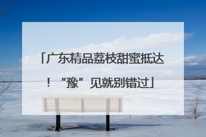 广东精品荔枝甜蜜抵达！“豫”见就别错过