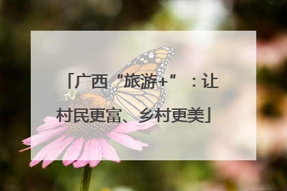 广西“旅游+”：让村民更富、乡村更美