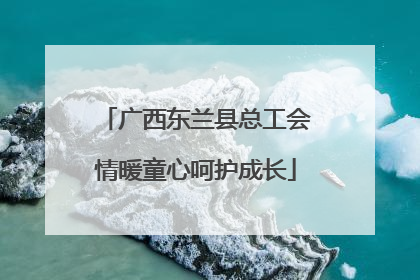 广西东兰县总工会情暖童心呵护成长