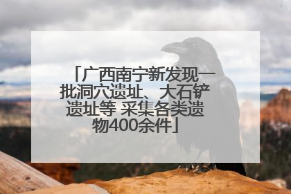 广西南宁新发现一批洞穴遗址、大石铲遗址等 采集各类遗物400余件