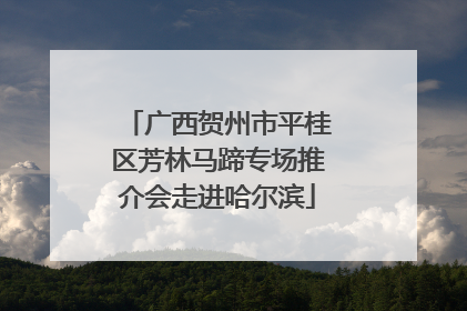 广西贺州市平桂区芳林马蹄专场推介会走进哈尔滨
