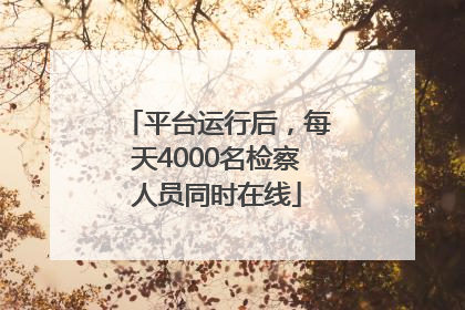 平台运行后，每天4000名检察人员同时在线