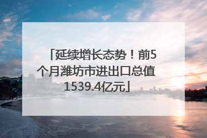 延续增长态势！前5个月潍坊市进出口总值1539.4亿元