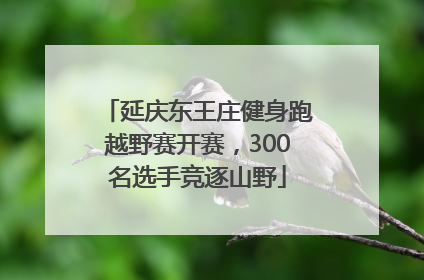 延庆东王庄健身跑越野赛开赛，300名选手竞逐山野