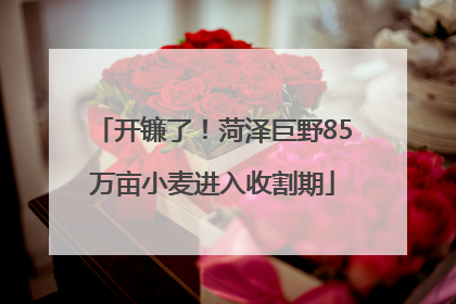 开镰了！菏泽巨野85万亩小麦进入收割期