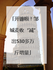 开镰啦！邹城麦收“减”出530多万斤增量