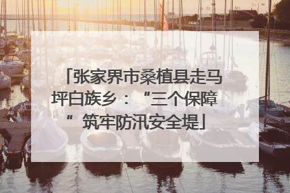 张家界市桑植县走马坪白族乡：“三个保障”筑牢防汛安全堤
