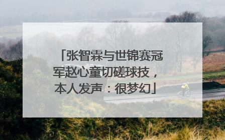 张智霖与世锦赛冠军赵心童切磋球技，本人发声：很梦幻