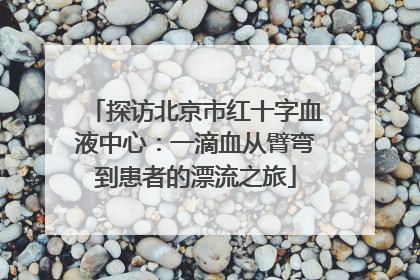 探访北京市红十字血液中心：一滴血从臂弯到患者的漂流之旅