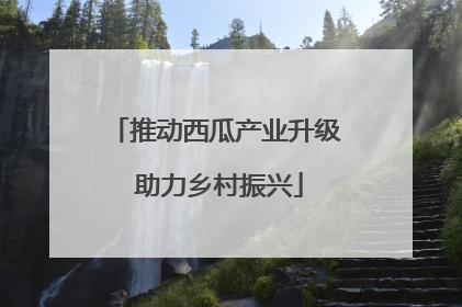 推动西瓜产业升级 助力乡村振兴