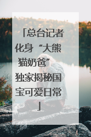总台记者化身“大熊猫奶爸” 独家揭秘国宝可爱日常