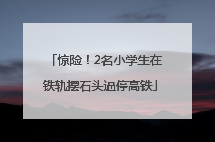 惊险！2名小学生在铁轨摆石头逼停高铁
