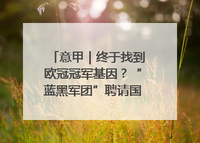 意甲｜终于找到欧冠冠军基因？“蓝黑军团”聘请国米名宿齐沃执教