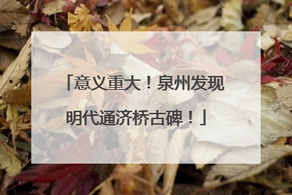 意义重大！泉州发现明代通济桥古碑！