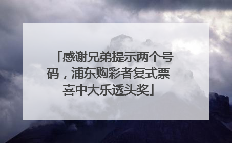 感谢兄弟提示两个号码，浦东购彩者复式票喜中大乐透头奖