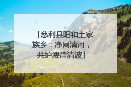 慈利县阳和土家族乡：净网清河，共护溇澧清波