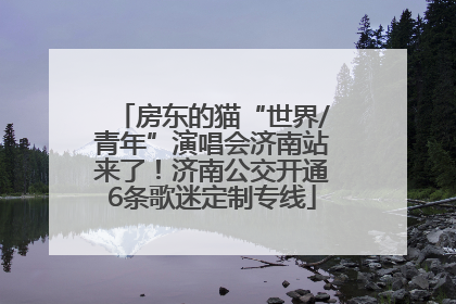 房东的猫“世界/青年”演唱会济南站来了！济南公交开通6条歌迷定制专线