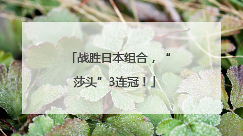 战胜日本组合，“莎头”3连冠！