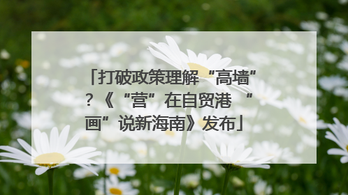 打破政策理解“高墙”？《“营”在自贸港 “画”说新海南》发布