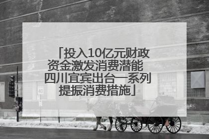 投入10亿元财政资金激发消费潜能 四川宜宾出台一系列提振消费措施