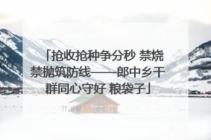 抢收抢种争分秒 禁烧禁抛筑防线——郎中乡干群同心守好 粮袋子