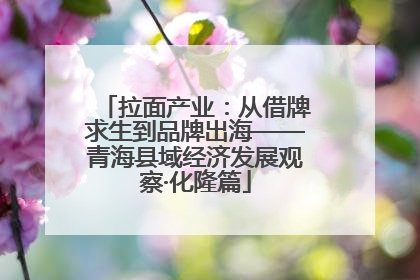 拉面产业：从借牌求生到品牌出海——青海县域经济发展观察·化隆篇