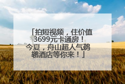 拍短视频，住价值3699元卡通房！今夏，舟山超人气鹈鹕酒店等你来！