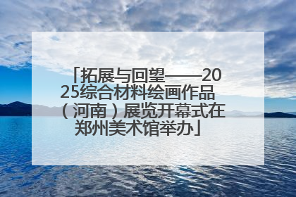拓展与回望——2025综合材料绘画作品（河南）展览开幕式在郑州美术馆举办