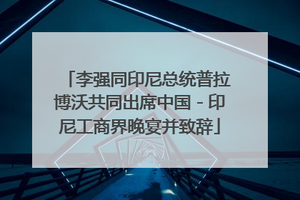 李强同印尼总统普拉博沃共同出席中国－印尼工商界晚宴并致辞
