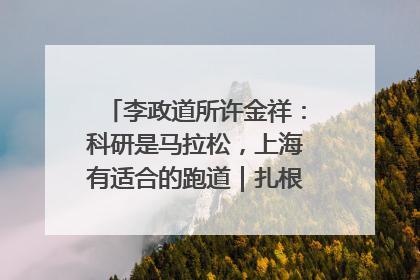 李政道所许金祥：科研是马拉松，上海有适合的跑道｜扎根上海，从0到1