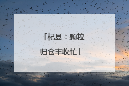 杞县：颗粒归仓丰收忙