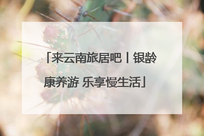 来云南旅居吧丨银龄康养游 乐享慢生活
