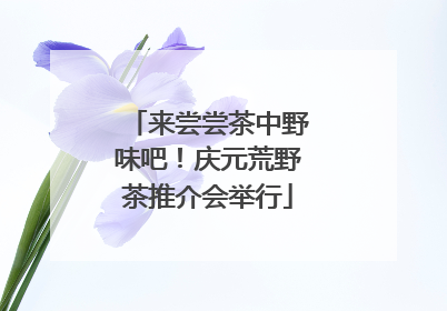 来尝尝茶中野味吧！庆元荒野茶推介会举行