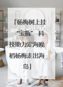 杨梅树上挂“宝瓶” 科技助力定海晚稻杨梅走出海岛