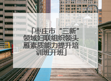 枣庄市“三新”领域妇联组织领头雁素质能力提升培训班开班