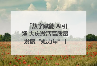数字赋能 AI引领 大庆激活高质量发展“她力量”