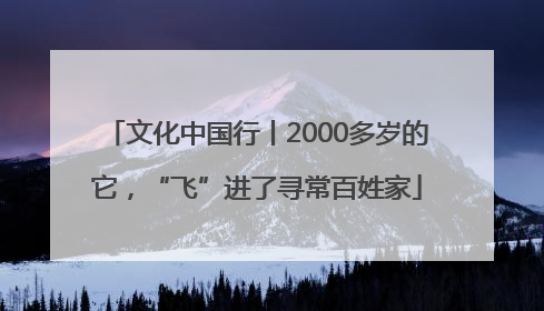 文化中国行丨2000多岁的它，“飞”进了寻常百姓家