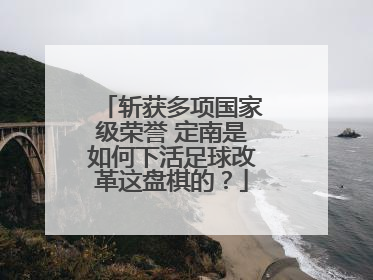 斩获多项国家级荣誉 定南是如何下活足球改革这盘棋的？