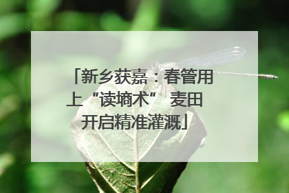 新乡获嘉：春管用上“读墒术” 麦田开启精准灌溉
