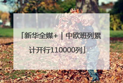 新华全媒+｜中欧班列累计开行110000列