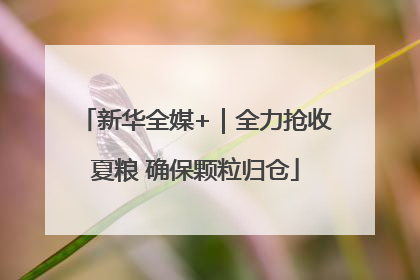 新华全媒+｜全力抢收夏粮 确保颗粒归仓