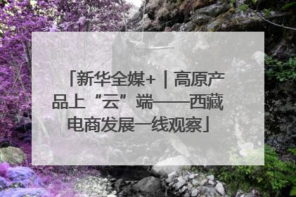 新华全媒+｜高原产品上“云”端——西藏电商发展一线观察