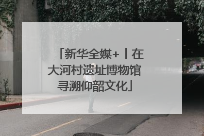 新华全媒+丨在大河村遗址博物馆寻溯仰韶文化