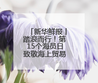 新华鲜报丨踏浪而行！第15个海员日致敬海上贸易“守护人”