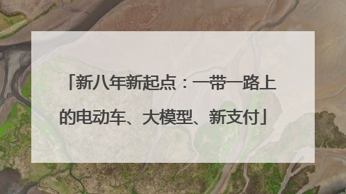 新八年新起点：一带一路上的电动车、大模型、新支付