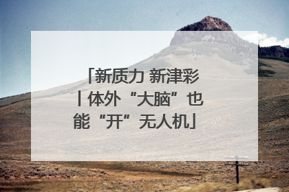 新质力 新津彩丨体外“大脑”也能“开”无人机