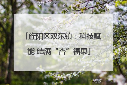 旌阳区双东镇：科技赋能 结满“杏”福果