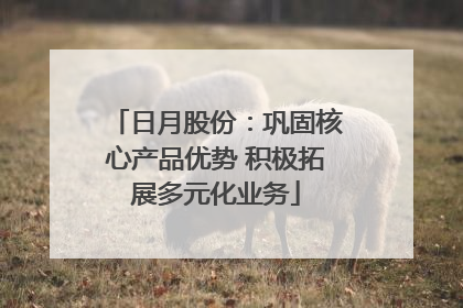 日月股份：巩固核心产品优势 积极拓展多元化业务