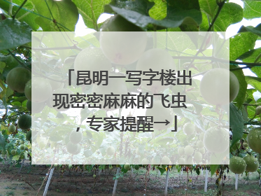 昆明一写字楼出现密密麻麻的飞虫，专家提醒→
